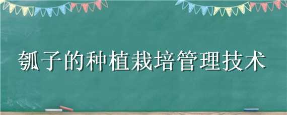 瓠子的种植栽培管理技术 瓠子的种植栽培管理技术及管理