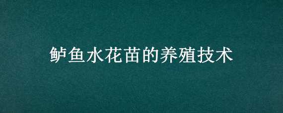 鲈鱼水花苗的养殖技术 鲈鱼水花苗怎样养殖