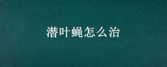 潜叶蝇怎么治（潜叶蝇不打药怎么治）