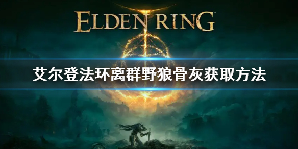 艾尔登法环离群野狼骨灰怎么获得 老头环离群野狼骨灰获取方法