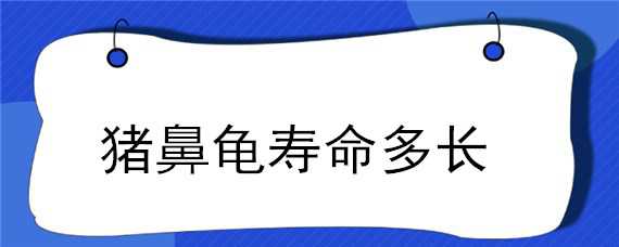 猪鼻龟寿命多长 猪鼻龟能活几年