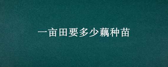 一亩田要多少藕种苗