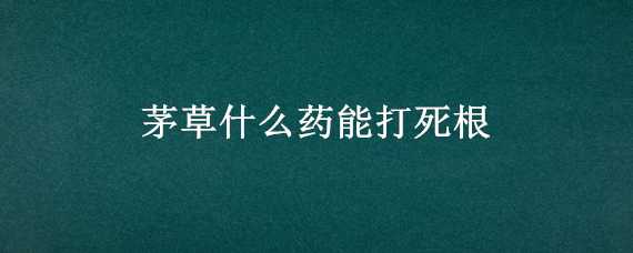 茅草什么药能打死根