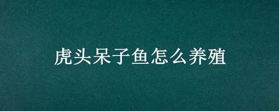 虎头呆子鱼怎么养殖 虎头呆子鱼养殖要求