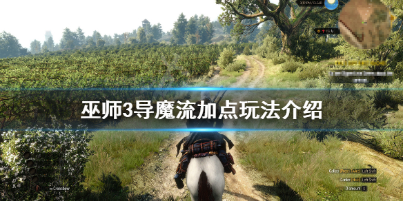 巫师3导魔流怎么玩 巫师3导魔在哪