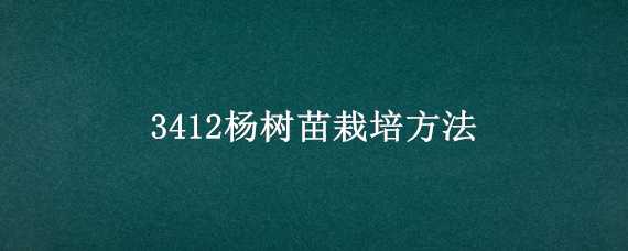 3412杨树苗栽培方法 141杨树苗