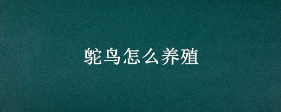 鸵鸟怎么养殖 鸵鸟养殖