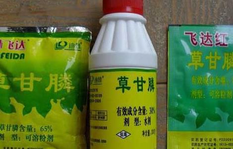 除草剂药害产生的人为原因及预防措施