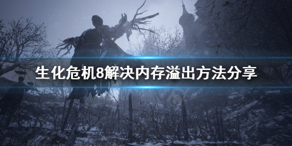 生化危机8该内存不能为written怎么办 生化8解决内存溢出