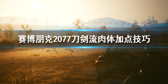 赛博朋克2077刀剑流肉体怎么加点 刀剑流肉体加点技巧