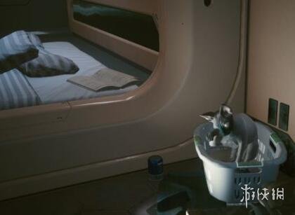 赛博朋克2077猫在哪获得 赛博朋克2077收养猫方法