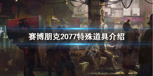 赛博朋克2077特殊道具有哪些 赛博朋克2077特殊道具介绍