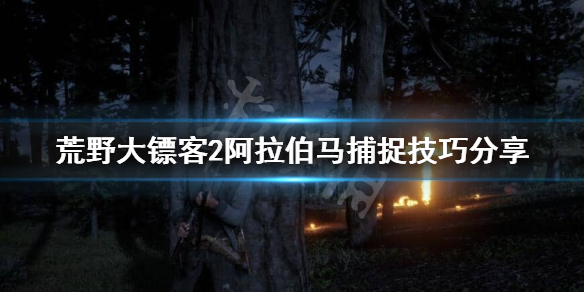 荒野大镖客2阿拉伯马怎么抓 荒野大镖客2阿拉伯马捕捉技巧