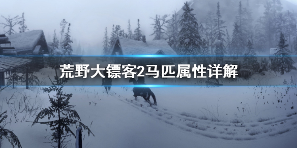 荒野大镖客2马匹属性怎么看 荒野大镖客2马匹属性详解