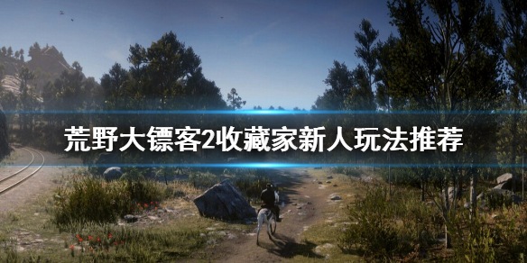 荒野大镖客2收藏家怎么上手 荒野大镖客2收藏家新人玩法推荐