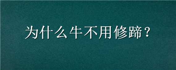 为什么牛不用修蹄（水牛为什么不用修蹄）