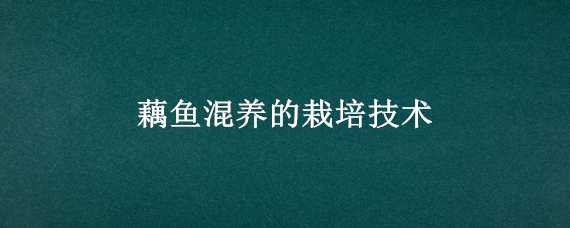 藕鱼混养的栽培技术