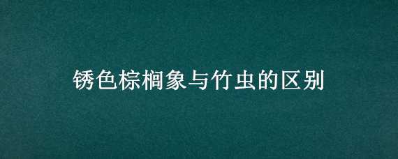 锈色棕榈象与竹虫的区别 棕象虫和竹象虫的差别