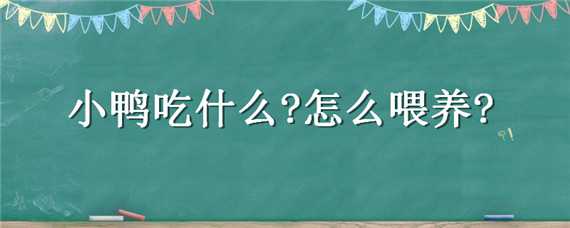 小鸭吃什么?怎么喂养?（小鸭子要喂什么食物）