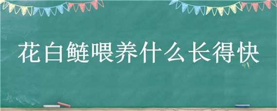 花白鲢喂养什么长得快