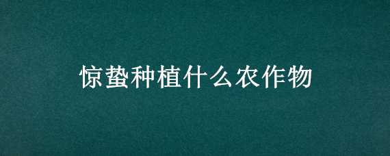 惊蛰种植什么农作物（惊蛰适合种植什么）