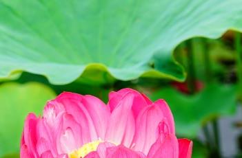 沂蒙颂（沂蒙颂舞蹈视频完整版）