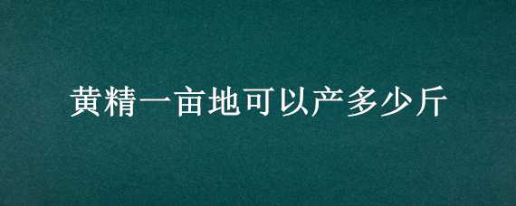 黄精一亩地可以产多少斤 一亩地能产多少斤黄精