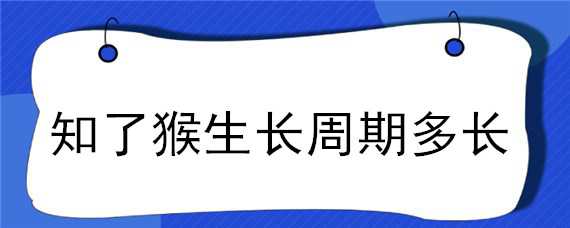 知了猴生长周期多长（知了猴的生长周期有多久）