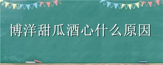 博洋甜瓜酒心什么原因（博洋甜瓜酒心图片）