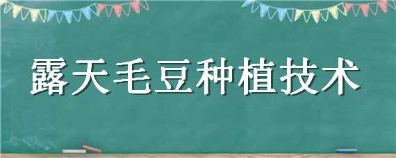 露天毛豆种植技术（露天毛豆种植技术与管理）