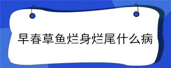 早春草鱼烂身烂尾什么病 草鱼苗烂身烂尾病的治疗