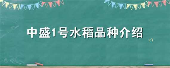 中盛1号水稻品种介绍（兴盛1号水稻品种）