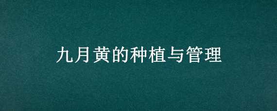 九月黄的种植与管理 九月黄种植条件