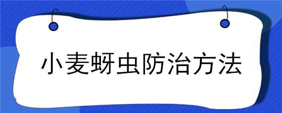 小麦蚜虫防治方法（小麦蚜虫防治方法图解）
