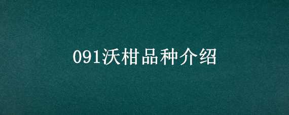 091沃柑品种介绍