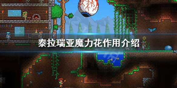 泰拉瑞亚魔力花有什么用 泰拉瑞亚魔力花作用介绍