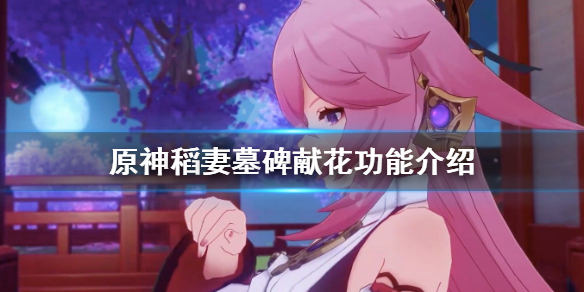 原神稻妻墓碑献花有什么用 原神稻妻墓碑献花功能介绍