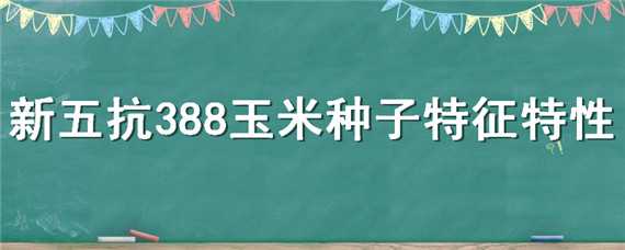 新五抗388玉米种子特征特性