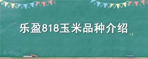 乐盈818玉米品种介绍（看看玉米品种乐盈797）