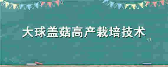 大球盖菇高产栽培技术