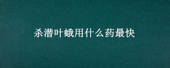 杀潜叶蛾用什么药最快 杀潜叶蛾用什么药最快有效