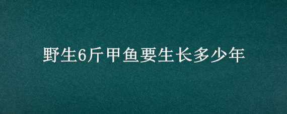 野生6斤甲鱼要生长多少年（野生6斤甲鱼要生长多少年呢）