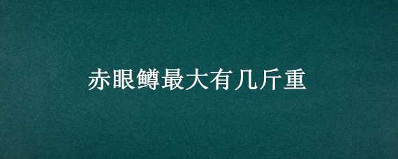 赤眼鳟最大有几斤重