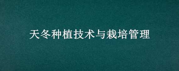 天冬种植技术与栽培管理