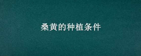 桑黄的种植条件（桑黄的种植条件和管理）