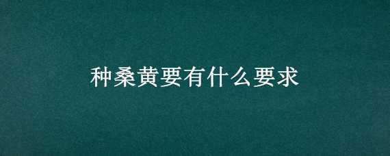 种桑黄要有什么要求