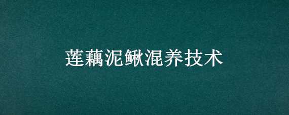 莲藕泥鳅混养技术（莲藕泥鳅混养技术要求）