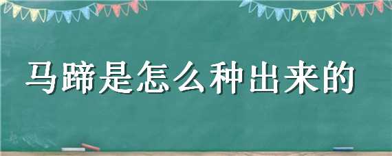 马蹄是怎么种出来的（马蹄怎样种）