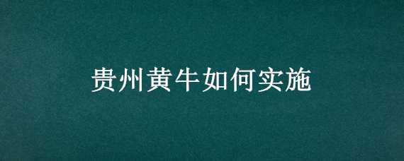 贵州黄牛如何实施（贵州黄牛如何实施智慧养殖）