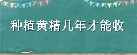 种植黄精几年才能收